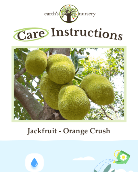 Educational Series Campaign
