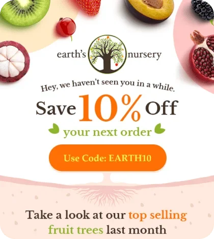 example-banner-07-min