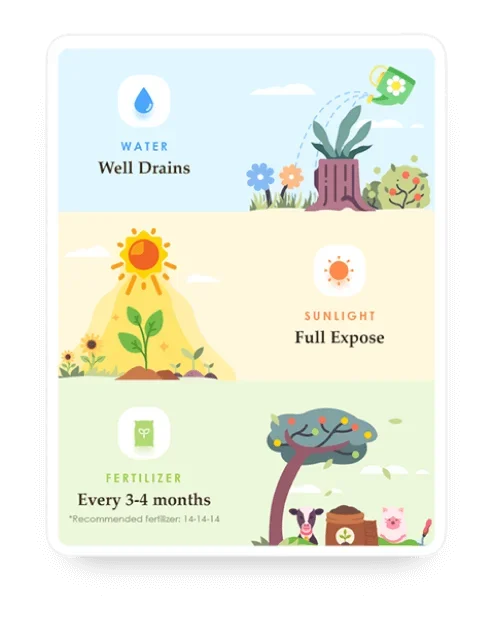 home-banner-devices-06